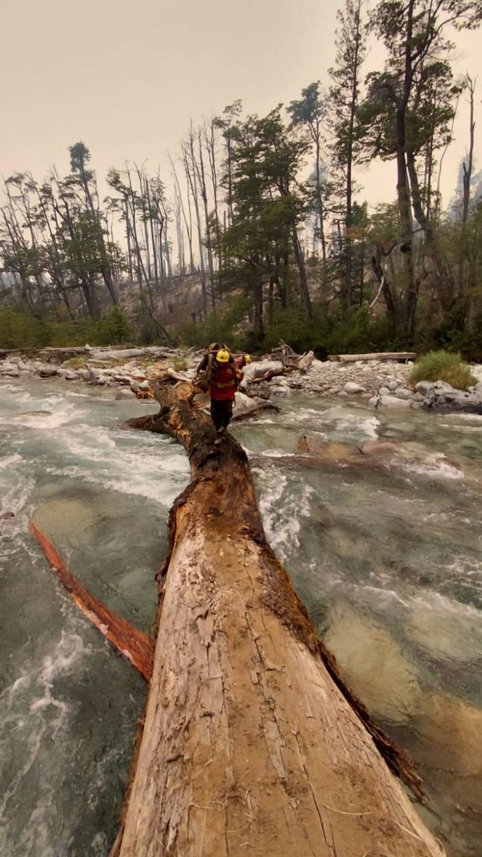 Continúan el incendio forestal en Chubut: en diez días ya consumió más de 3000 hectáreas