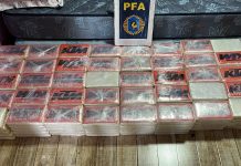 La nueva era del hampa peruana en Argentina: los narcos mayoristas y la advertencia de una fiscal