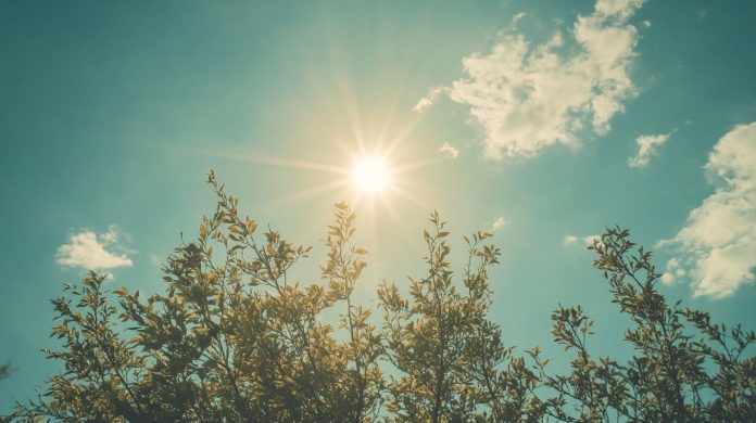 Cielo algo nublado y temperaturas agradables: cómo estará el tiempo durante las elecciones legislativas