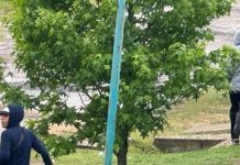 Delincuentes ingresaron a un barrio semicerrado en La Plata, robaron en dos casas y balearon a un vecino