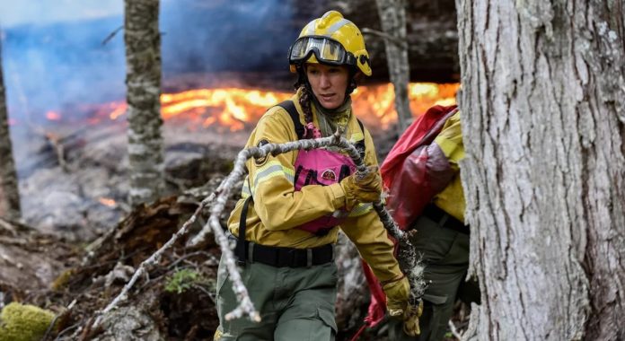 Se desataron tres incendios en el Parque Nacional Lanín por la fuerte actividad eléctrica durante una tormenta