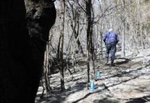 Confirmaron que el incendio que arrasó con casi 270 hectáreas en Epuyén fue intencional