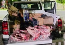 Decomisaron más de 300 chivitos faenados de manera clandestina en Neuquén