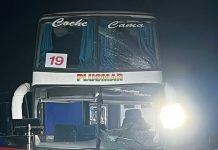 Quiénes son los hinchas de Estudiantes de La Plata que resultaron heridos por el choque de tres micros